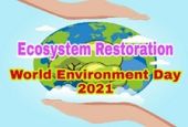 Десетилетие на ООН за възстановяване на екосистемите